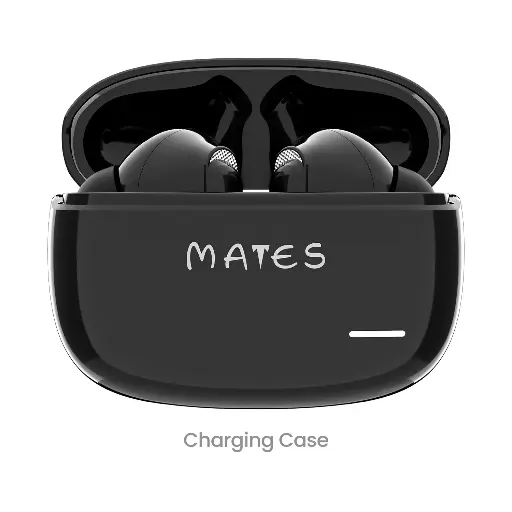 Black Earbuds